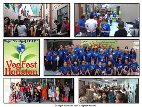 Join the Houston Vegan Community at VegFest Houston 2014!