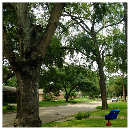 Spring Branch, Where Residents Never Seem to Leave 