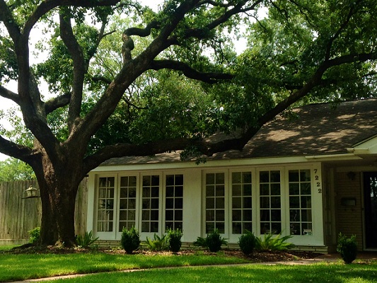 Spring Branch, Where Residents Never Seem to Leave 