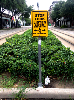 What's the Word on Houston Public Transportation