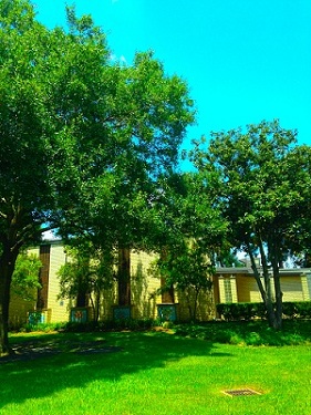 Bunker Hill Elementary School, The Hidden Gem of Spring Branch 