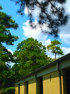 Bunker Hill Elementary School, The Hidden Gem of Spring Branch 