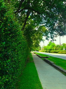 Quietly Nestled in Houston is Family-Oriented Bunker Hill Village