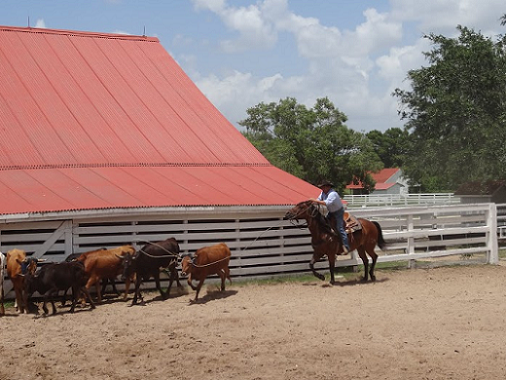 Enjoy Texian Market Day at George Ranch Historical Park
