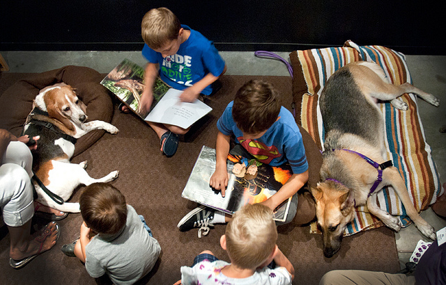 Source: Flickr, Kids reading to therapy dogs 