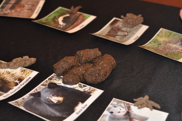 Poop at Scoop on Poop at Houston Zoo